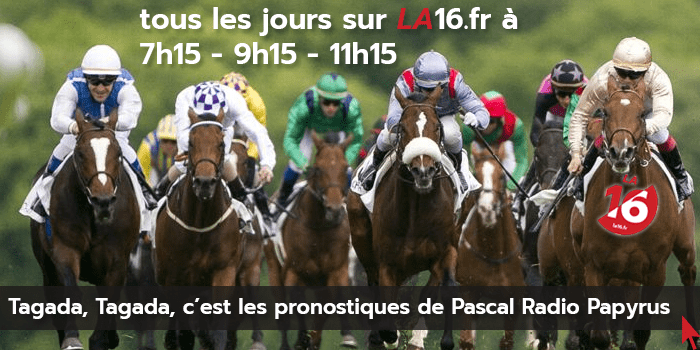 Les Pronostiques Hippiques