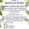 Sortie en forêt