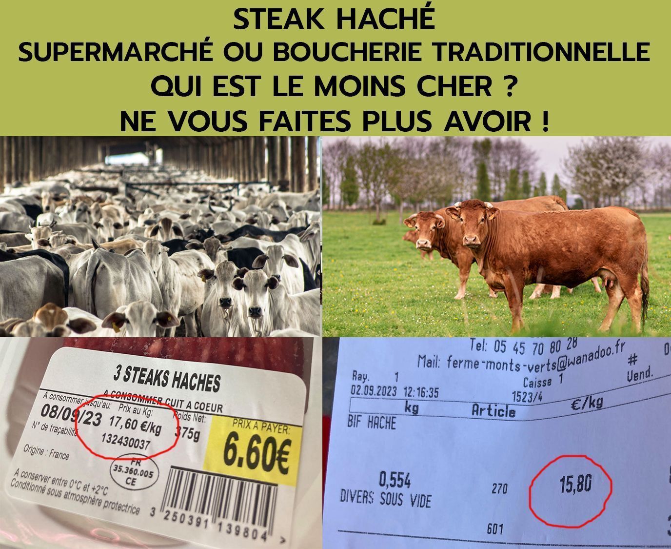Arrière-plan
